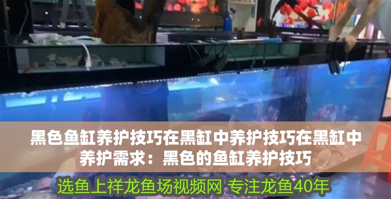 黑色魚缸養護技巧在黑缸中養護技巧在黑缸中養護需求：黑色的魚缸養護技巧