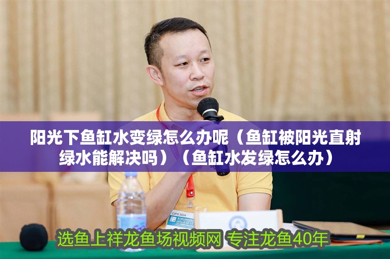 陽光下魚缸水變綠怎么辦呢（魚缸被陽光直射綠水能解決嗎）（魚缸水發綠怎么辦）