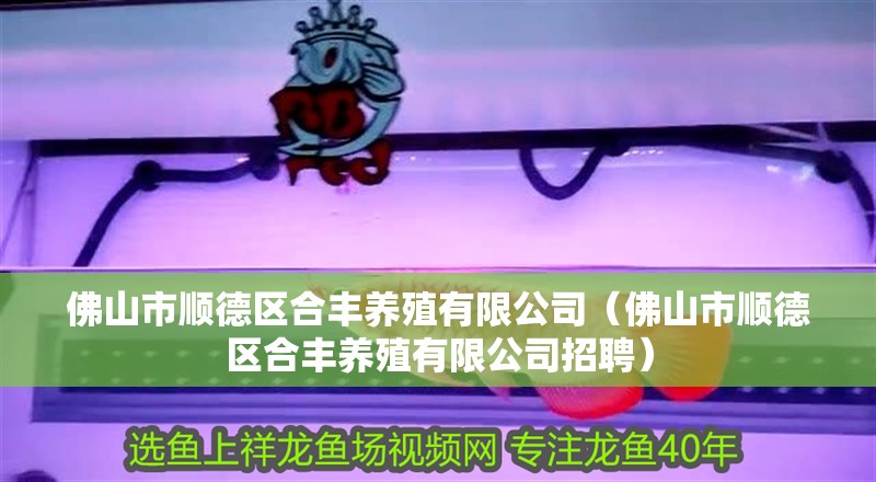 佛山市順德區合豐養殖有限公司（佛山市順德區合豐養殖有限公司招聘）