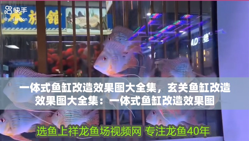 一體式魚缸改造效果圖大全集，玄關魚缸改造效果圖大全集：一體式魚缸改造效果圖