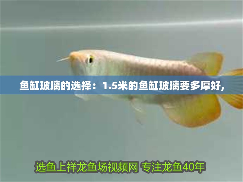魚缸玻璃的選擇：1.5米的魚缸玻璃要多厚好,