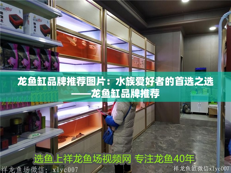 龍魚缸品牌推薦圖片：水族愛好者的首選之選——龍魚缸品牌推薦