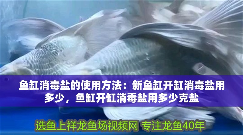 魚缸消毒鹽的使用方法：新魚缸開缸消毒鹽用多少，魚缸開缸消毒鹽用多少克鹽