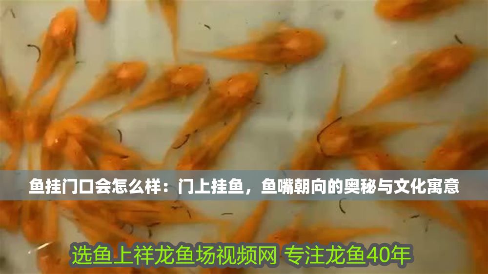 詳細閱讀:魚掛門口會怎么樣:門上掛魚,魚嘴朝向的奧秘與文化寓意 魚掛門口會怎么樣:門上掛魚,魚嘴朝向的奧秘與文化寓意