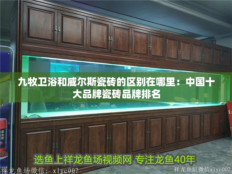 九牧衛浴和威爾斯瓷磚的區別在哪里：中國十大品牌瓷磚品牌排名