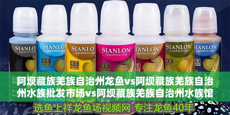 阿壩藏族羌族自治州龍魚vs阿壩藏族羌族自治州水族批發市場vs阿壩藏族羌族自治州水族館vs阿壩藏族羌族自治州魚缸批發市場vs祥龍魚場：阿壩州水族批發市場