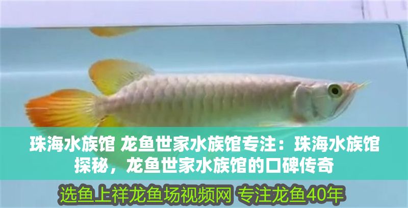 珠海水族館 龍魚(yú)世家水族館專(zhuān)注：珠海水族館探秘，龍魚(yú)世家水族館的口碑傳奇