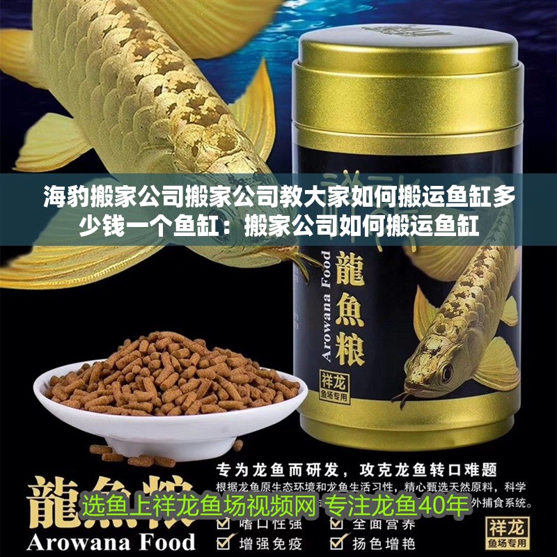 海豹搬家公司搬家公司教大家如何搬運(yùn)魚缸多少錢一個(gè)魚缸：搬家公司如何搬運(yùn)魚缸
