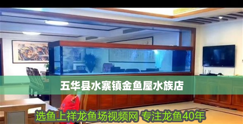 五華縣水寨鎮(zhèn)金魚屋水族店