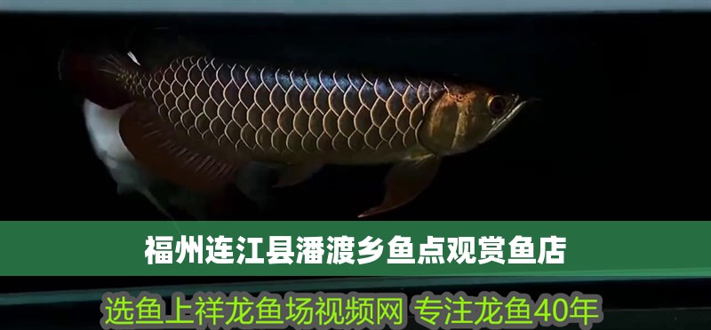 福州連江縣潘渡鄉(xiāng)魚點觀賞魚店