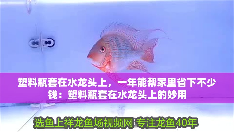 塑料瓶套在水龍頭上，一年能幫家里省下不少錢：塑料瓶套在水龍頭上的妙用