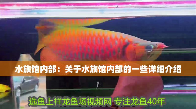 水族館內部：關于水族館內部的一些詳細介紹