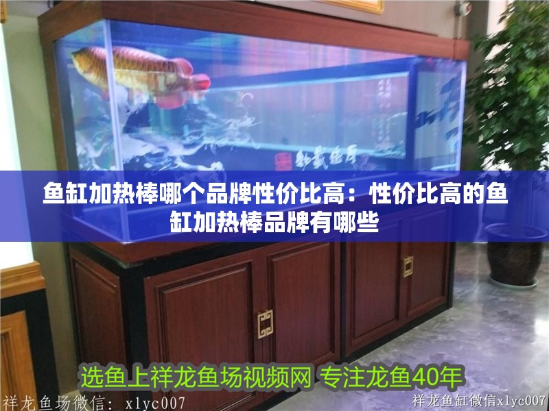 魚缸加熱棒哪個品牌性價比高：性價比高的魚缸加熱棒品牌有哪些