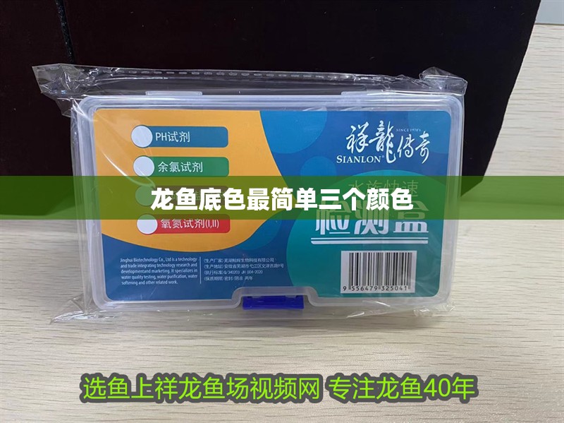 龍魚底色最簡單三個顏色