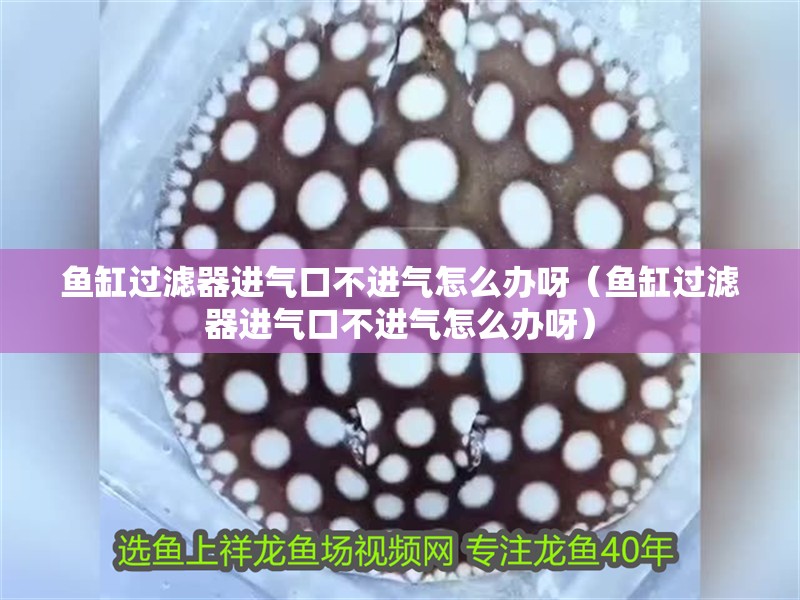 魚缸過濾器進氣口不進氣怎么辦呀（魚缸過濾器進氣口不進氣怎么辦呀）