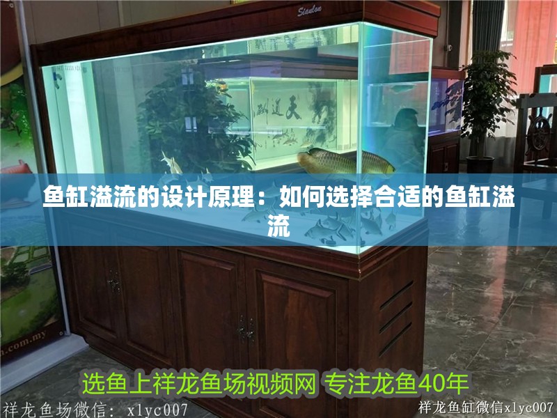 魚缸溢流的設計原理：如何選擇合適的魚缸溢流