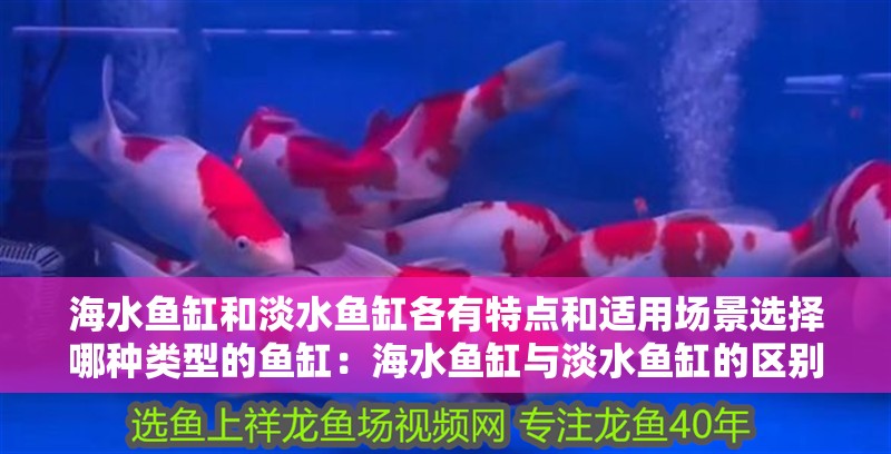 海水魚缸和淡水魚缸各有特點和適用場景選擇哪種類型的魚缸：海水魚缸與淡水魚缸的區別