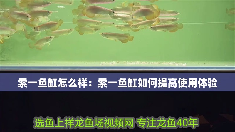 索一魚缸怎么樣：索一魚缸如何提高使用體驗