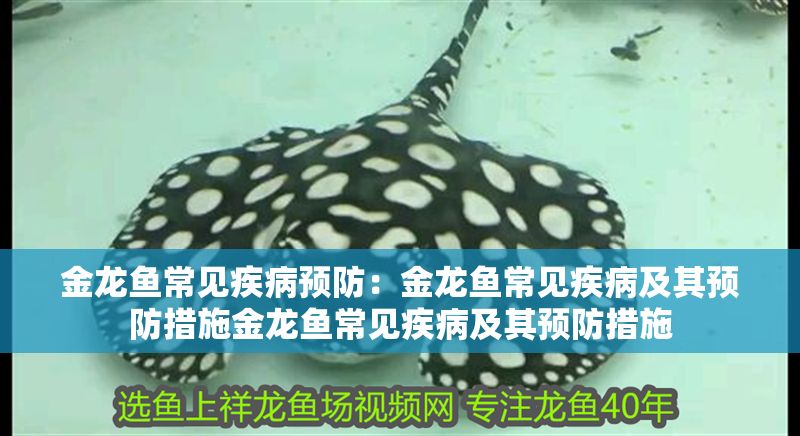 金龍魚常見(jiàn)疾病預(yù)防：金龍魚常見(jiàn)疾病及其預(yù)防措施金龍魚常見(jiàn)疾病及其預(yù)防措施
