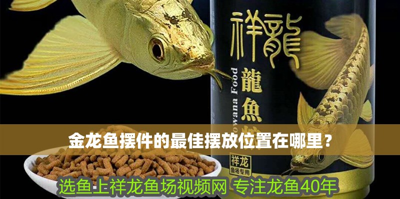 金龍魚擺件的最佳擺放位置在哪里？