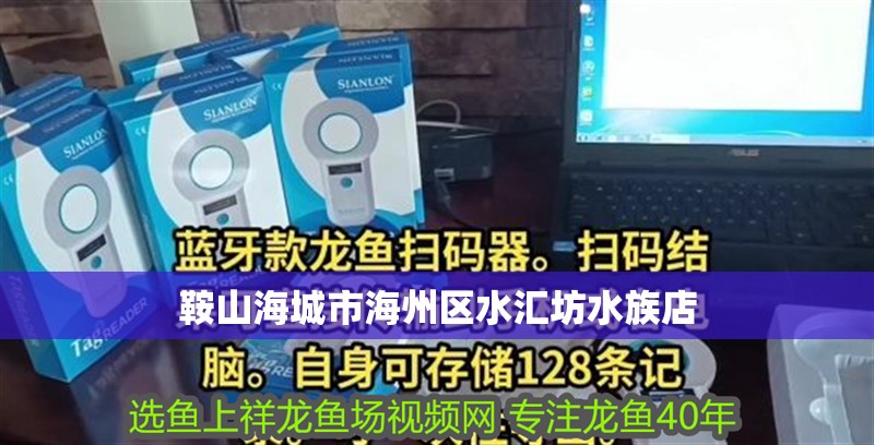 魚缸過濾器選購指南:自制魚缸過濾器魚缸上置過濾器對于養魚愛好者的必備知識 鞍山海城市海州區水匯坊水族店 全國水族館企業名錄 鞍山海城市海州區水匯坊水族店 鞍山海城市海州區水匯坊水族店 全國水族館企業名錄