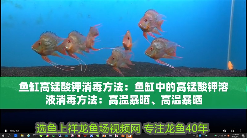 魚缸高錳酸鉀消毒方法：魚缸中的高錳酸鉀溶液消毒方法：高溫暴曬、高溫暴曬