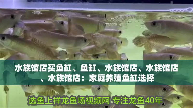 水族館店買魚缸、魚缸、水族館店、水族館店、水族館店：家庭養殖魚缸選擇