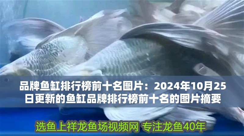 品牌魚缸排行榜前十名圖片：2024年10月25日更新的魚缸品牌排行榜前十名的圖片摘要