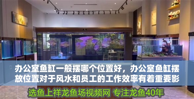 辦公室魚缸一般擺哪個位置好，辦公室魚缸擺放位置對于風(fēng)水和員工的工作效率有著重要影響