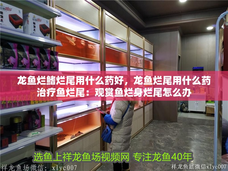 龍魚爛鰭爛尾用什么藥好，龍魚爛尾用什么藥治療魚爛尾：觀賞魚爛身爛尾怎么辦
