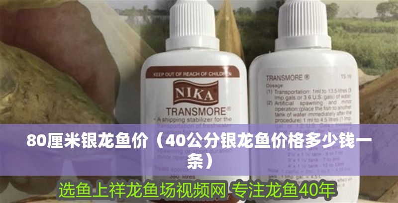 80厘米銀龍魚價（40公分銀龍魚價格多少錢一條）