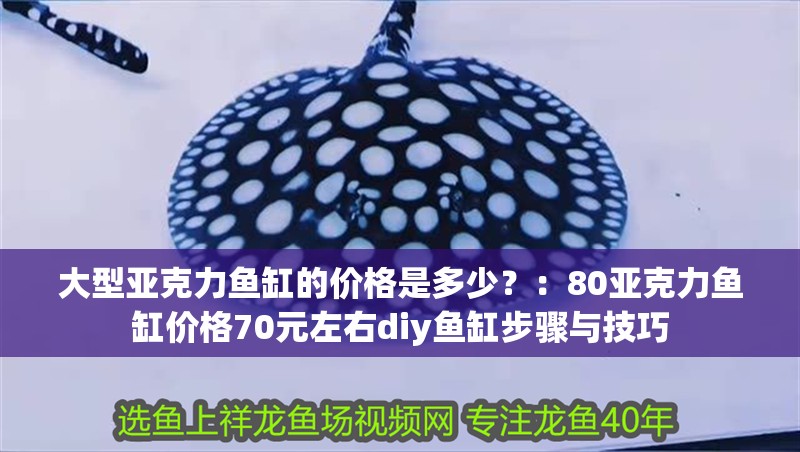 大型亞克力魚缸的價格是多少？：80亞克力魚缸價格70元左右diy魚缸步驟與技巧