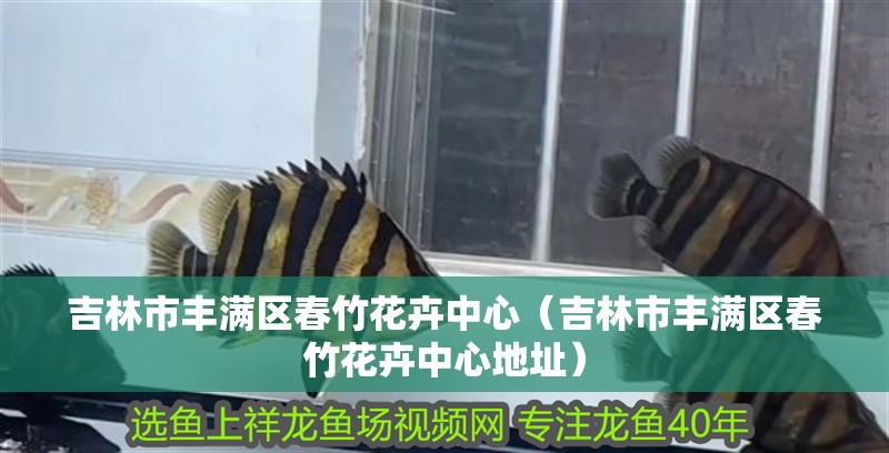 吉林市豐滿區春竹花卉中心（吉林市豐滿區春竹花卉中心地址）