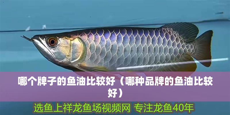 哪個牌子的魚油比較好(哪種品牌的魚油比較好) 魚缸百科 第1張 哪個牌子的魚油比較好(哪種品牌的魚油比較好) 哪個牌子的魚油比較好(哪種品牌的魚油比較好) 魚缸百科 第1張