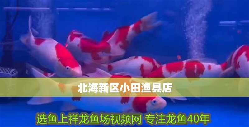 北海新區小田漁具店