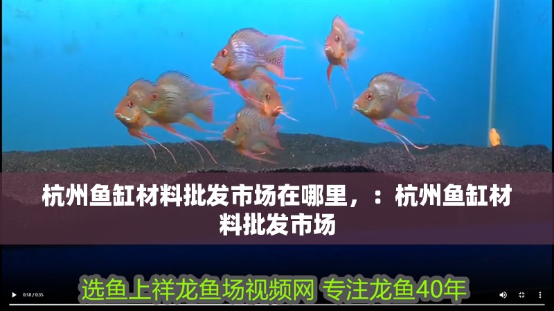 杭州魚缸材料批發市場在哪里，：杭州魚缸材料批發市場