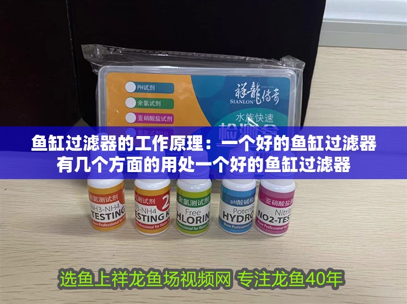 魚缸過濾器的工作原理：一個好的魚缸過濾器有幾個方面的用處一個好的魚缸過濾器