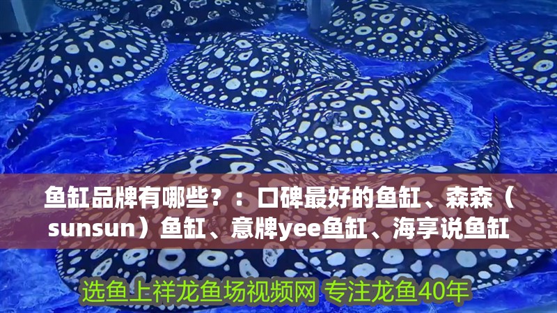 魚缸品牌有哪些？：口碑最好的魚缸、森森（sunsun）魚缸、意牌yee魚缸、海享說魚缸