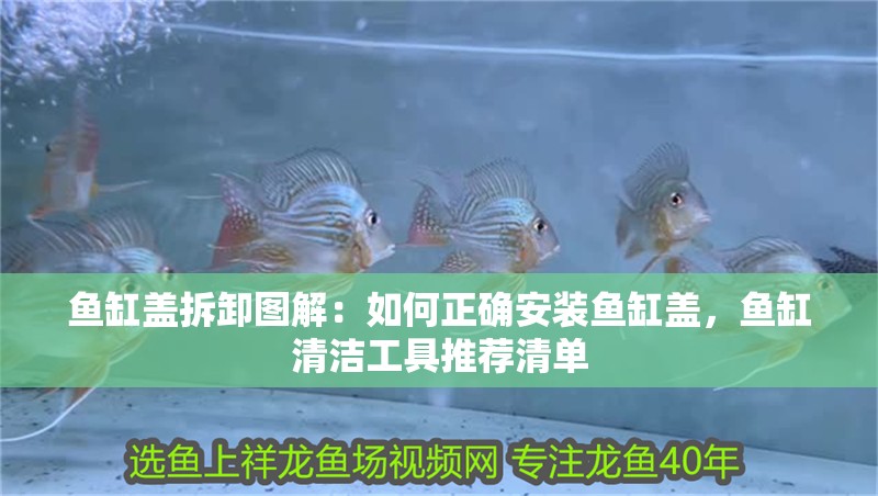 魚缸蓋拆卸圖解：如何正確安裝魚缸蓋，魚缸清潔工具推薦清單