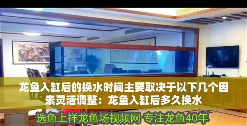 龍魚入缸后的換水時間主要取決于以下幾個因素靈活調整：龍魚入缸后多久換水