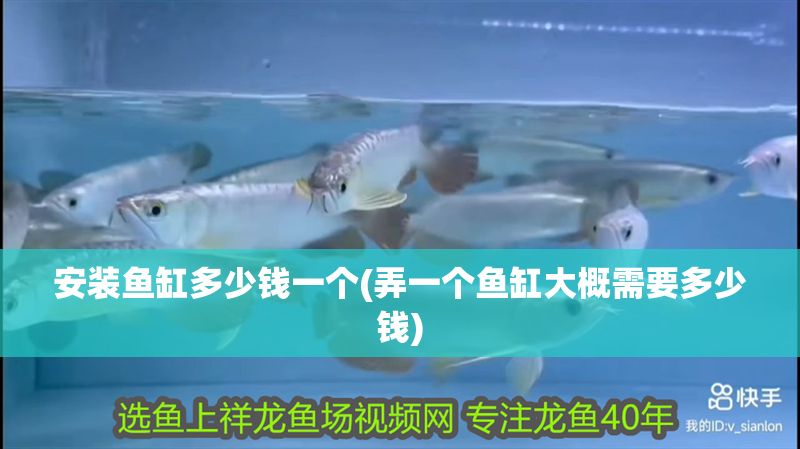 安裝魚缸多少錢一個(gè)(弄一個(gè)魚缸大概需要多少錢)