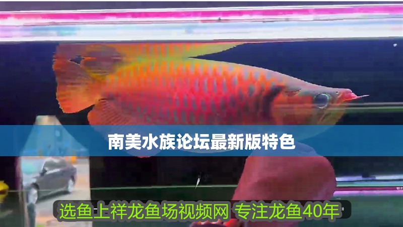 南美水族論壇最新版特色