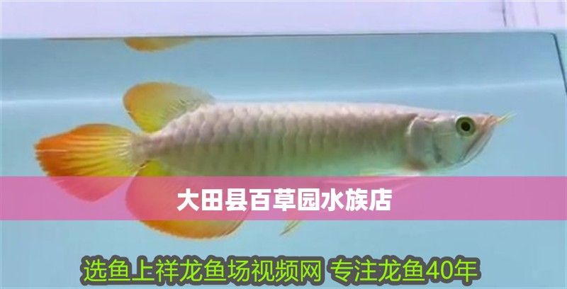 大田縣百草園水族店