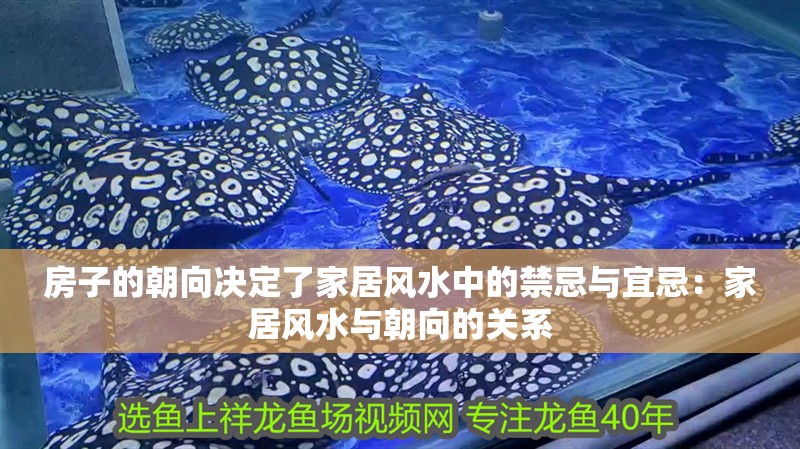 房子的朝向決定了家居風水中的禁忌與宜忌：家居風水與朝向的關(guān)系