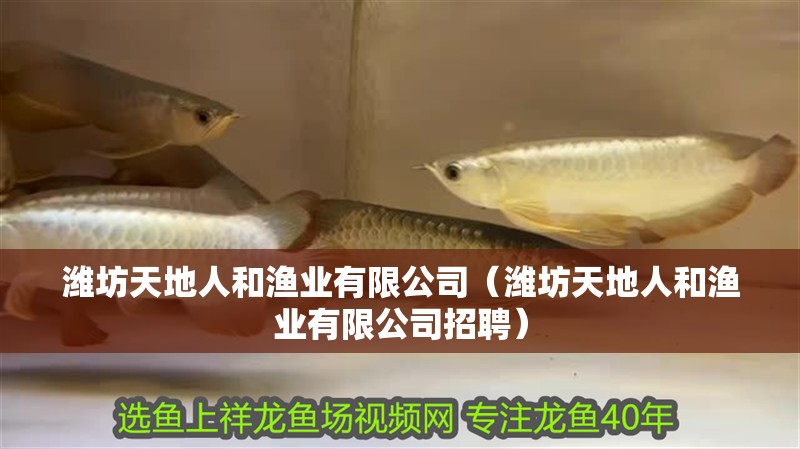 魚缸過濾器選購指南:自制魚缸過濾器魚缸上置過濾器對于養魚愛好者的必備知識 濰坊天地人和漁業有限公司(濰坊天地人和漁業有限公司招聘) 全國水族館企業名錄 濰坊天地人和漁業有限公司(濰坊天地人和漁業有限公司招聘) 濰坊天地人和漁業有限公司(濰坊天地人和漁業有限公司招聘) 全國水族館企業名錄