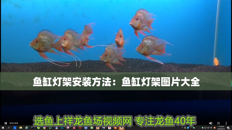 魚缸燈架安裝方法：魚缸燈架圖片大全