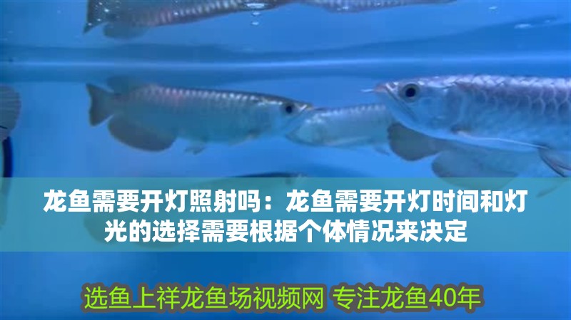魚缸用增氧泵價格是多少:魚缸增氧機-xtrac增氧機-xtrac增氧機 龍魚需要開燈照射嗎:龍魚需要開燈時間和燈光的選擇需要根據個體情況來決定 龍魚百科 龍魚需要開燈照射嗎:龍魚需要開燈時間和燈光的選擇需要根據個體情況來決定 龍魚需要開燈照射嗎:龍魚需要開燈時間和燈光的選擇需要根據個體情況來決定 龍魚百科