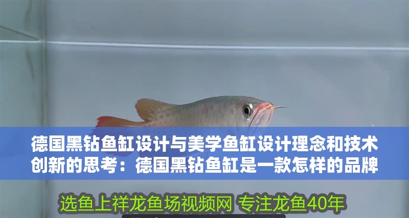 德國黑鉆魚缸設計與美學魚缸設計理念和技術創新的思考：德國黑鉆魚缸是一款怎樣的品牌？