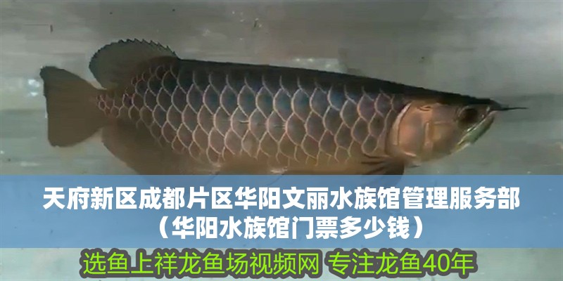 天府新區<strong><mark>成都</mark></strong>片區華陽文麗水族館管理服務部 （華陽水族館門票多少錢）