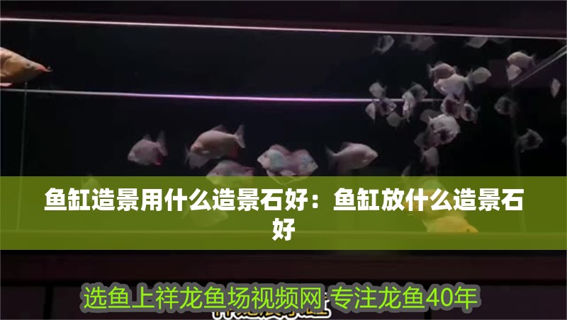 魚缸造景用什么造景石好：魚缸放什么造景石好